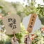 Quạt cổ YUJUNI, Quạt cầm tay trang trí nhà cửa bằng nhựa, Quạt làm mát viết cảm hứng phong cách Trung Quốc