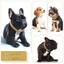 【PET HOUSE】Thời Trang Hợp Kim Vòng Cổ Cho Mèo Đầy Đá Quý Vòng Cổ Cho Chó Mèo Mạ Vàng Vòng Cổ Cho Chó