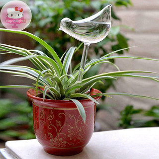Moonlights Plant Waterer Quả cầu tự tưới nước, Bóng đèn trong suốt hình chim thổi tay EN