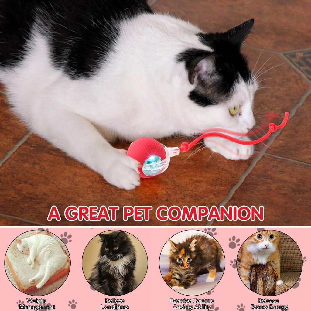 Pet Toy Bóng Bông Cho Mèo Cún Con Lăn Tự Chơi Giải Sầu Bóng Có Chuông Bên Trong