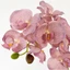 GIL Nhân Tạo Bướm Phong Lan, 10 Đầu Đa Màu Phalaenopsis Giả, 98cm Cảm Ứng Thật Dây Sắt Bên Trong Lót Hoa Lụa Trang Trí Đám Cưới