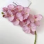 EDIWANY Hoa lan bướm nhân tạo, Dây sắt cảm ứng thật Lớp lót bên trong Phalaenopsis giả, giống như thật 10 đầu 98cm Hoa lụa nhiều màu Trang trí nội thất