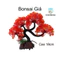 Cây Bonsai Giả Trang Trí Bể Cá Cảnh Cao 18cm