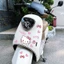 sticker Nhãn dán xe hơi Hello Kitty Nhãn dán thân xe Hoạt hình Nhãn dán trang trí dễ thương Chặn trầy xước