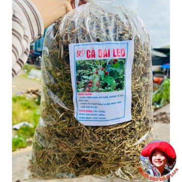 Cà gai leo khô loại 1, trà lá cây cà gai leo sấy khô giúp giải độc gan, giải rượu, thanh nhiệt mát gan, gan nhiễm mỡ