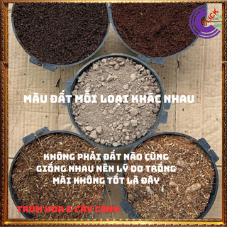 2ký ĐẤT TRỒNG HOA XỊN TRỒNG MỸ KÉP ️🔖Siêu Thị Hoa