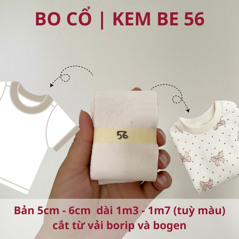 số 56