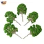 5 Cây Mô Hình 15cm Xanh Xe Lửa Kiến Trúc Đường Sắt Diorama HO Cân Hàng Thủ Công hoặc Xây Dựng Mô Hình