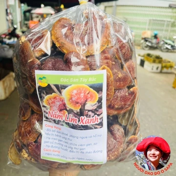 Nấm lim xanh rừng tự nhiên Tây Bắc mọc trên thân, gốc lim xanh đã mục. Nấm lim xanh, linh chi đỏ, sừng hươu ngâm rượu