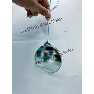 Kính kè tròn cho cá la hán sung cao cấp dày 5li (đường kính 10cm)