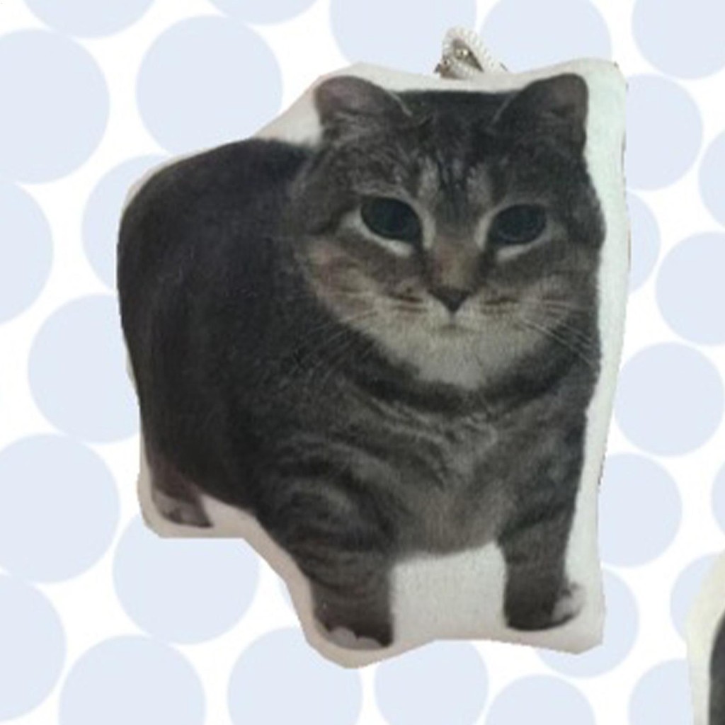 Móc Chìa Khóa Mèo Xoay Vui Nhộn Kitty Móc Khóa Tai Nghe Độc Đáo Mặt Dây ...