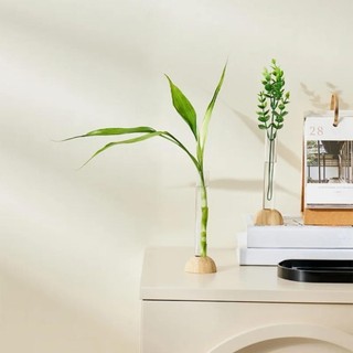 [Vận chuyển nhanh] Bình ống nghiệm CORESSPACE, Bình thủy canh trong suốt tiết kiệm không gian bằng nhựa, có trang trí đế tre Chậu hoa cây cảnh