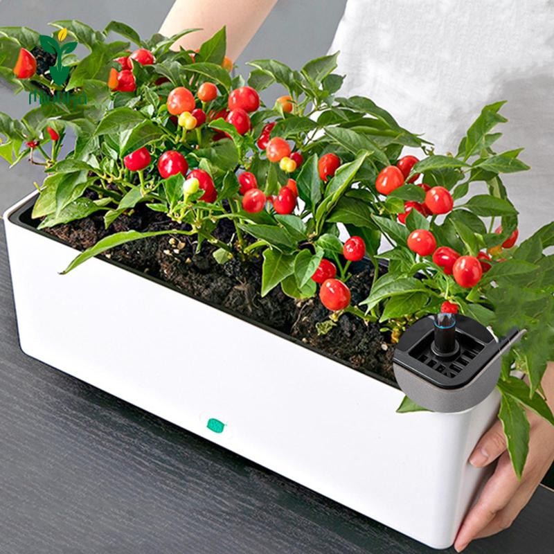 Miulika Hình Chữ Nhật Tự Tưới Cây Chậu Trang Trí Chậu Cây Hai Lớp Hộp Cửa Sổ Cho Cây Trong Nhà
