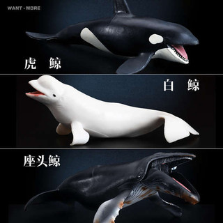 Chơi Mô Hình Âm Nhạc Rắn Động Vật Biển Mô Hình Ghế Đầu Cá Voi Beluga Lan Rộng Thơm Cá Voi Sát Thủ Cá Voi Xanh Cá Voi Cá Voi Đồ Chơi Trẻ Em