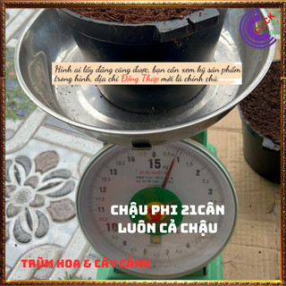 2ký ĐẤT TRỒNG RAU HOA CÂY CẢNH MỊN🕰Siêu Thị Hoa Và Cây Giống