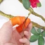 Bao Ngón Tay Silicon Ngắt Rau Hái Rau Củ Gắn Móng Kim Loại Săc Bén Thu Hoạch Rau Củ Quả Tiện Dụng-GIOVA