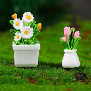 [ToyFeb] 1 Cây trồng trong chậu Mô phỏng Nhà búp bê mới Chậu thu nhỏ cho cây xanh trong chậu Nội thất nhà búp bê Trang trí nội thất {vn}