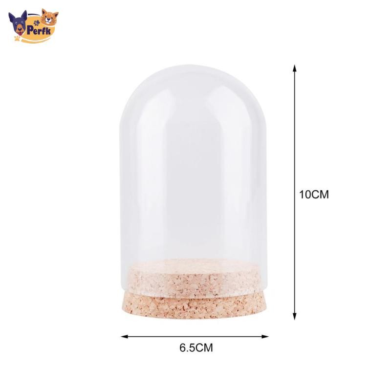 Perfk 10 Cái Mái vòm trưng bày trong suốt có đế gỗ Tấm che kính chống bụi trang trí