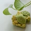 Cc Turtle Shape Khuôn nướng bánh tiện lợi Công cụ ép món tráng miệng Thích hợp để nướng bánh