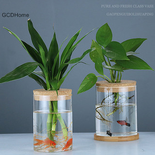 Gcdhome Chậu hoa trong suốt Thủy tinh giả Chậu hoa không đất Bình hoa nhà HOT