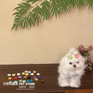 Handmade Mini Tóc Phách Thú Cưng BB Kẹp Nơ Kẹp Tóc Phụ Kiện Mũ Mèo Yorkshire Marzis Bichon