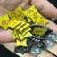 Boardgame Moving Wild Động vật di cư Tigar
