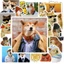 Hộp 50 Sticker Hình CHEEMS MEME Decal Phản Quang 7 Màu Halogram Chống Nước NSX Gì Cũng In | MS: 000211
