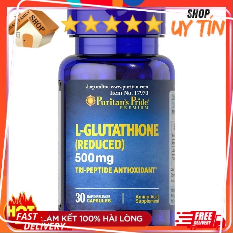 glutathione redox biology Team:UNSW Australia/Model/Glutathione System