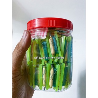 Phao bắp + dây cước + lưỡi câu cá rô, cá nhỏ