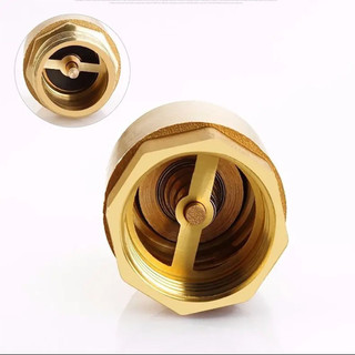 FEIYING 1 Van Một Chiều, Van Kiểm Tra Bằng Đồng NPT Lò Xo Sợi Nữ, Hệ Thống Bể Cá Tưới 1 / 2 "3 / 4" 1 "2" DN15 DN20 DN25 Cho Van Chống Chảy Ngược Kiểm Soát Nước