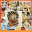 Hộp 50 Sticker Hình CHEEMS MEME Decal Phản Quang 7 Màu Halogram Chống Nước NSX Gì Cũng In | MS: 000211