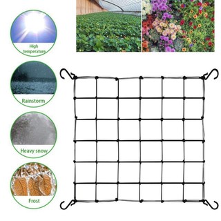 Vườn Trellis Lưới Trellis Lưới Vườn Lưới Hỗ Trợ Mạnh Mẽ Lưới Đậu Lưới Vườn Trellis Tăng Trưởng antirtvn antirtvn antirtvn