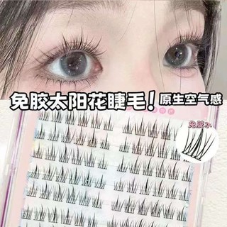 Tự dính 120 Lông mi giả hướng dương dung tích lớn Phân đoạn mô phỏng tự nhiên