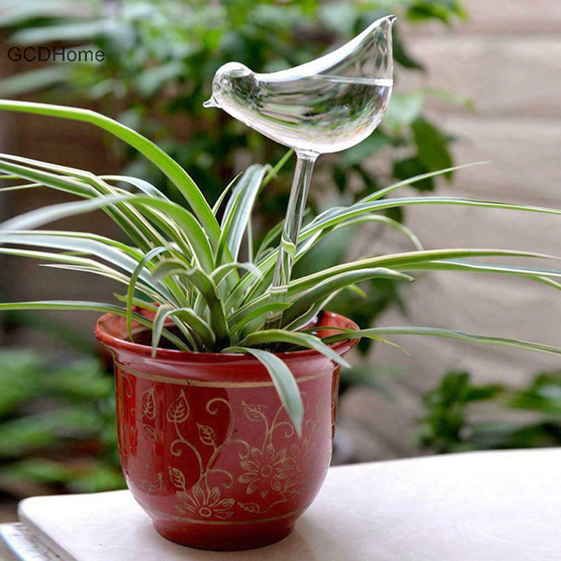 Cây tưới cây Gcdhome Tự tưới nước, bóng đèn trong suốt hình chim bay lượn HOT