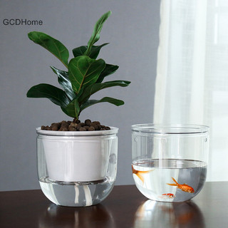 Gcdhome 1 Chậu Hoa Tự Hấp Thụ Nước Dày Nhựa Lười Trồng HOT