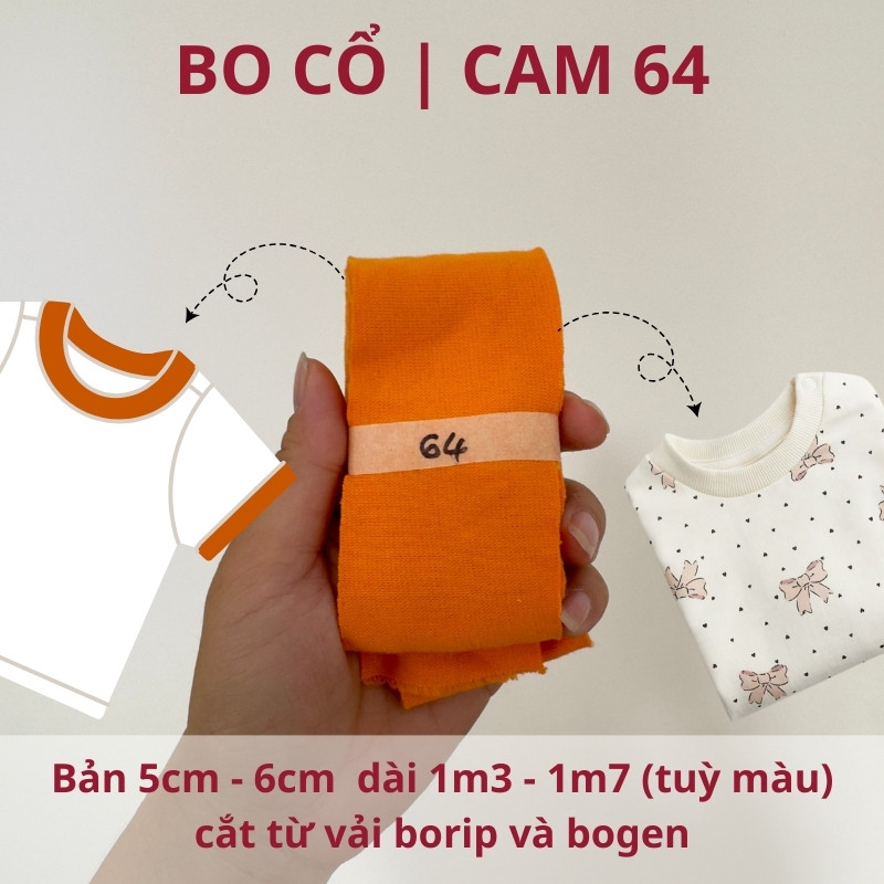 số 64