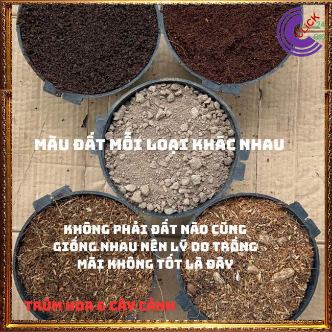 2ký ĐẤT TRỒNG HOA XỊN TRỒNG MỸ KÉP ️💄TRÙM HOA VÀ CÂY CẢNH