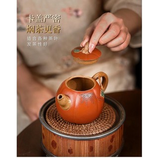 Ấm tử sa bí ngô Hàm Thái Khả Cúc