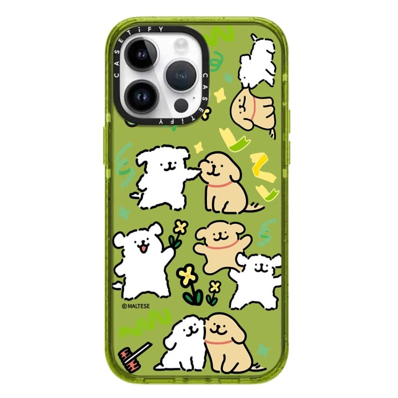 Casetify X Maltese Màu Ruy Băng Case KIWI Hút Từ Tính Cứng Acrylic Ốp Lưng Cho Apple IPhone 12 13 14 15 16 Pro Max Plus Có Hộp