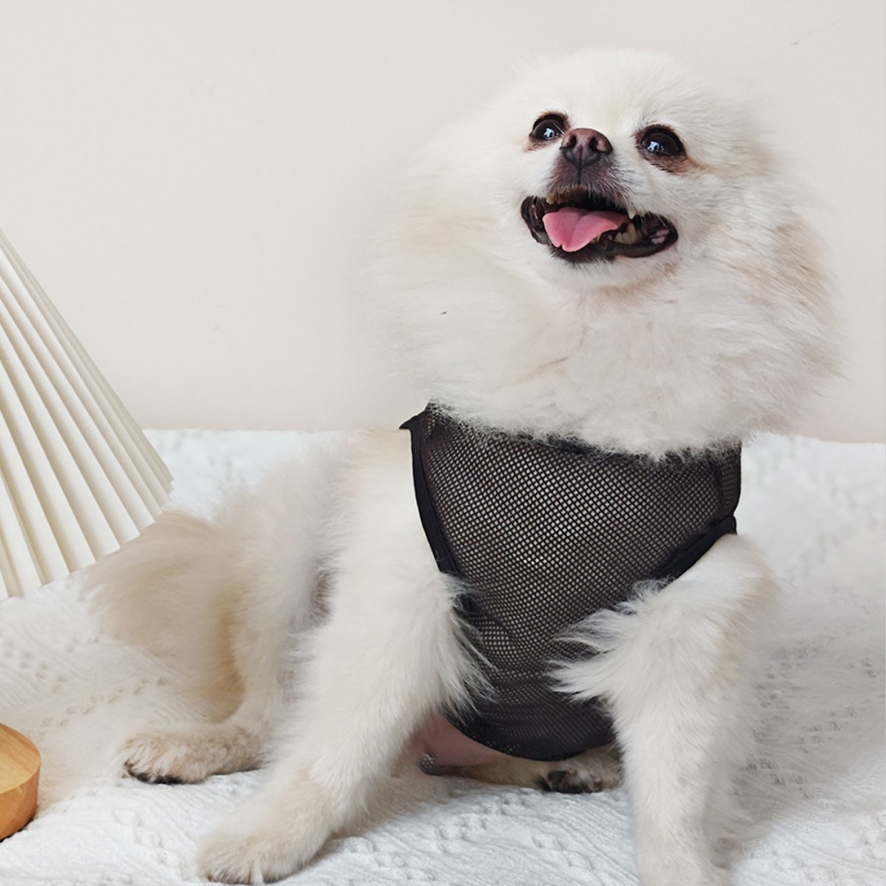 ✨ Hàng Mới Về ✨ S-2xl Mùa Hè Thiết Yếu Nhẹ Thoáng Khí Nezha In Hình Chó Top Lưới Quần Áo Cho Mèo Và Chó