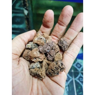 Đá nham thạch núi lửa vật liệu lọc cho bể cá cảnh