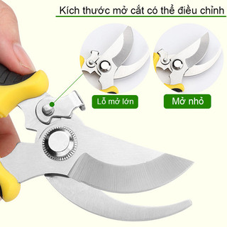 Kéo cắt tỉa cành, kéo cắt tỉa cây cảnh,Trọng lượng nhẹ Kéo làm vườn Kéo cắt tỉa Tỉa cây Kéo hái trái cây