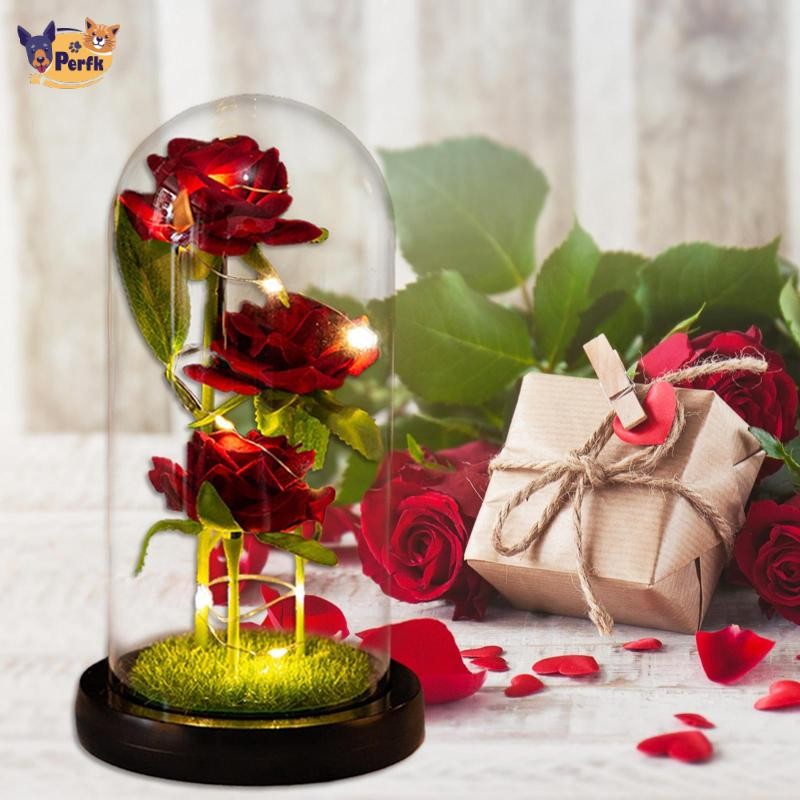 Hoa hồng Perfk trong vòm kính Quà tặng lãng mạn Sắp xếp cho đám cưới Ngày lễ tình nhân Trang trí kỷ niệm Giáng sinh