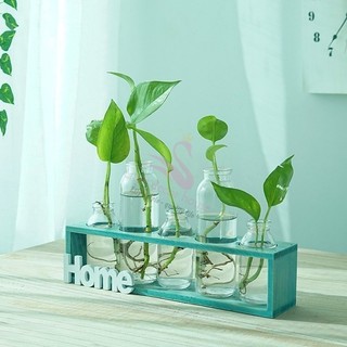 Bình Hoa Thủy Tinh Home Phối Gỗ Myd.23 Trồng Cây Thủy Canh Cắm Hoa Decor Trang Trí Nhà, Ban Công