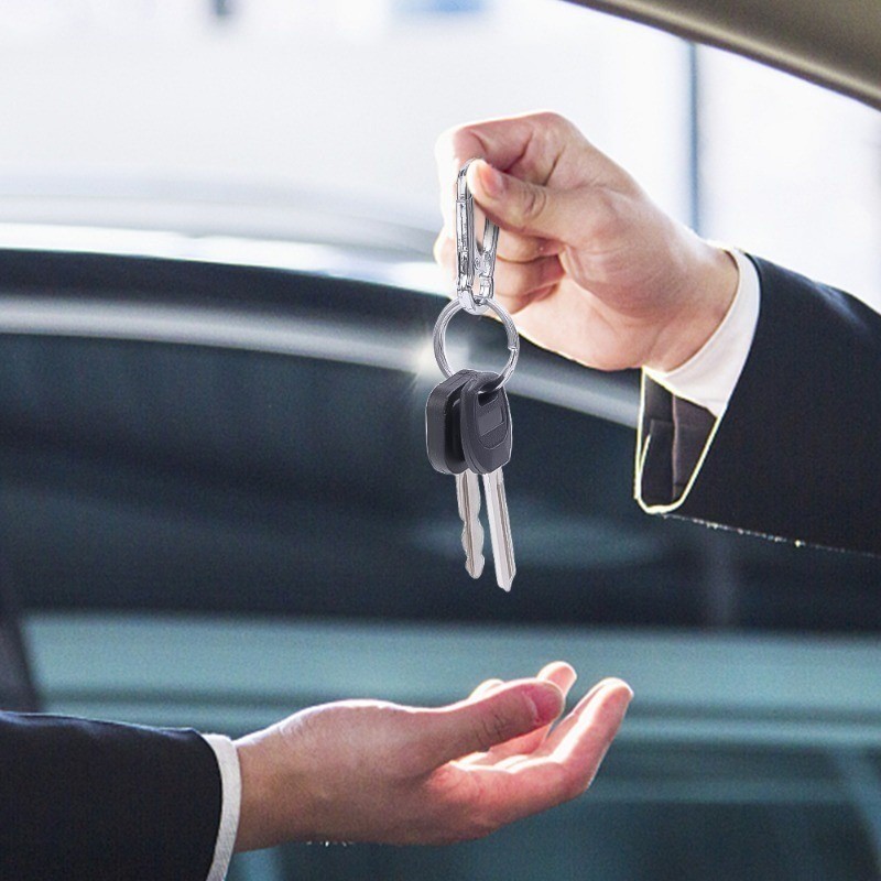 1 / 3 Chiếc Bầu Khóa Móc Khóa Leo Núi / Vòng Móc Chìa Khóa Kim Loại / Kẹp Thắt Lưng Chống Mất