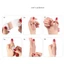 10 Miếng Dán Vỏ Bọc Tendon, Vải Đàn Hồi Màu Đen Xanh Hồng Miếng Dán Cổ Tay, Chất Lượng Cao Giảm Đau Ngón Tay Cái Chống Chảy Nước Bảo Vệ Ngón Tay Cái Thoáng Khí Nam Nữ