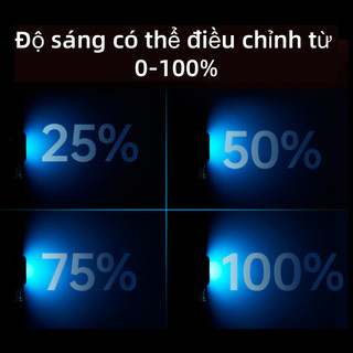 Đèn LED Selfie 6500K, Trợ Sáng Selfie Quay Video, Chụp Ảnh, Livestream Tiện Lợi