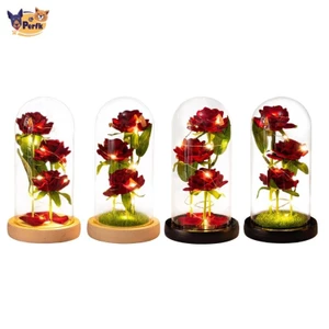 Hoa hồng Perfk trong vòm kính Quà tặng lãng mạn Sắp xếp cho đám cưới Ngày lễ tình nhân Trang trí kỷ niệm Giáng sinh