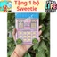 búp bê giấy Toca Boca- Bản Đặc Biệt