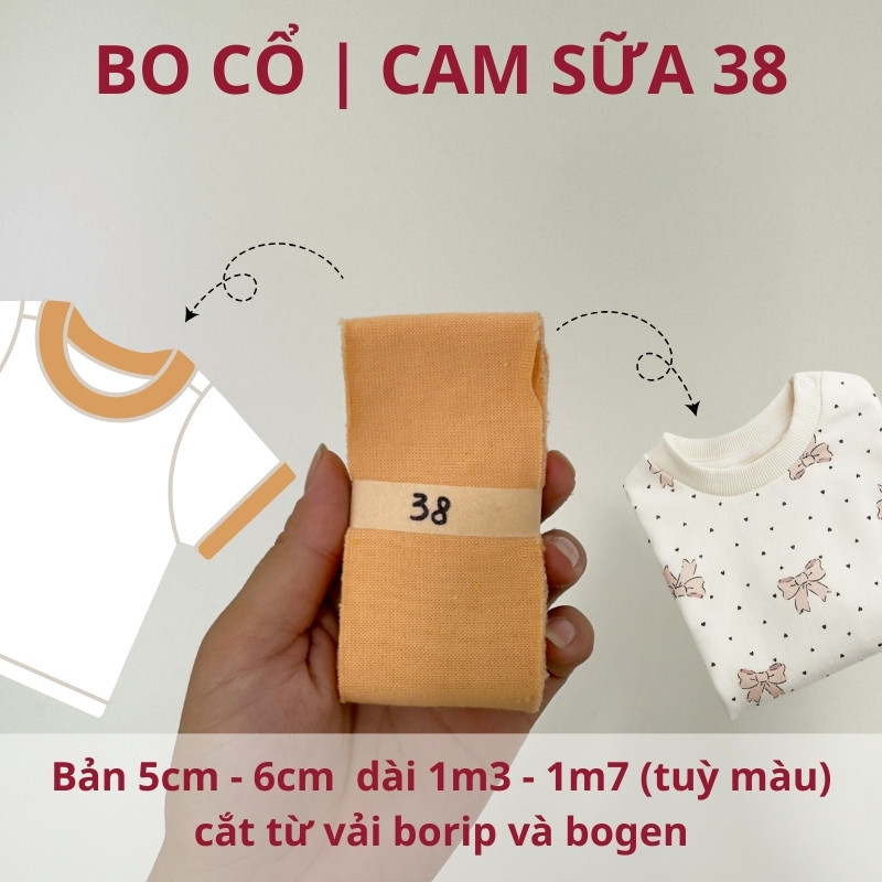 số 38